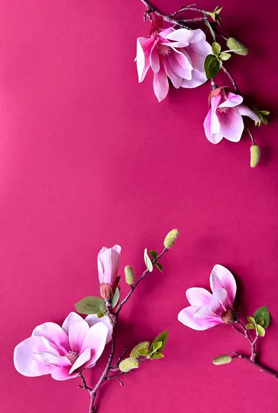 Fényes Rózsaszín Magnolia Virágok Élénk Rózsaszín Háttér Tavaszi Virágdísz Tervezés Stock Kép