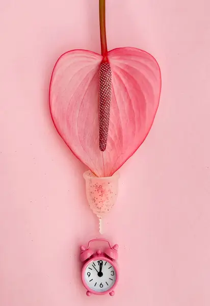 Roz Anturium Flower Menstrual Cup Alarmă Ceas Fundal Pastel Imagine de stoc