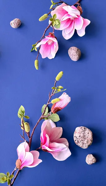 Elegant Magnolia Aranjament Floral Pietre Fundal Albastru Închis Imagine de stoc