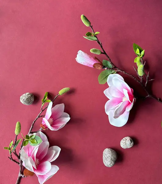 Elegant Magnolia Ramuri Pietre Fundal Roșu Vibrant Imagini stoc fără drepturi de autor