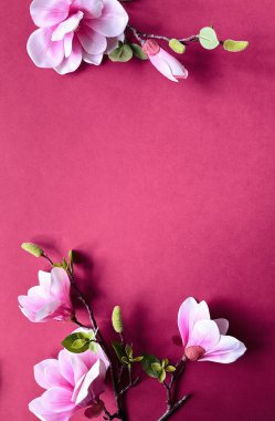 Canlı Pembe Arkaplan Üzerine Zarif Manolya Çiçekleri - Bahar Çiçeği Kompozisyonu.