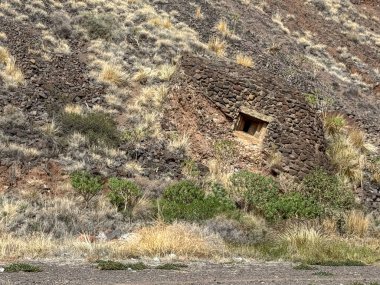 Rocky Hill 'de Çimenli ve Bitkili Terk Edilmiş Taş Yapı.