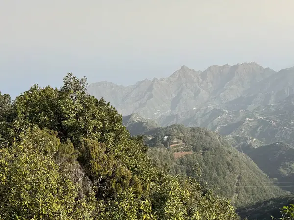 Calima Tenerife 'de. Bereketli Yeşillik ve Uzak Tepeler ile Güzel Dağ Manzarası.