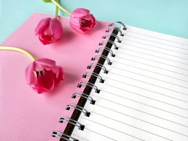 Pastel pembe ve mavi arka planda boş sayfaları olan spiral bir defter aç. Üç canlı pembe lale dekoratif olarak düzenlenerek yeni ve yaratıcı bir kompozisyon oluşturulur..
