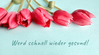 Kırmızı laleler açık mavi bir yüzeyde Alman metni 