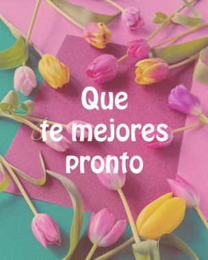 Pembe, sarı ve mor renkli canlı laleler pembe ve yeşil arkaplanda 