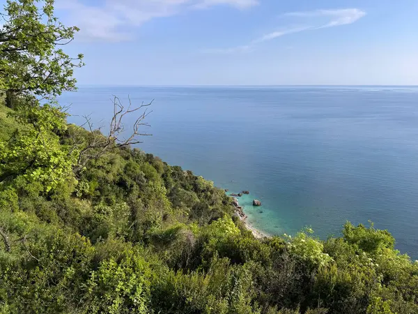 Canlı yeşil bitki örtüsü ve açık mavi gökyüzü ile çevrili Adriyatik Denizi 'nin yer aldığı kıyı manzarası. Karadağ 'ın kıyı şeridinde ele geçirildi.