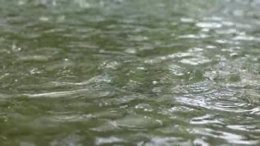 Slow motion water drops falling on rain water puddle 