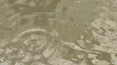 Slow motion water drops falling on rain water puddle 