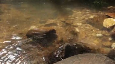 Nehrin aşağısında taşlarla dolu bir şelalenin yanında akan su.