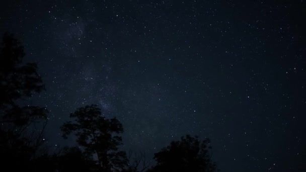 Timelapse Del Cielo Nocturno Con Vía Láctea — Vídeo de stock