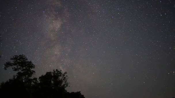 Timelapse Night Sky Milky Way — Stock Video