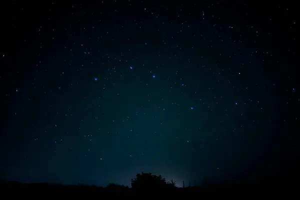 Cielo Estrellado Azul Con Hojas Árboles —  Fotos de Stock