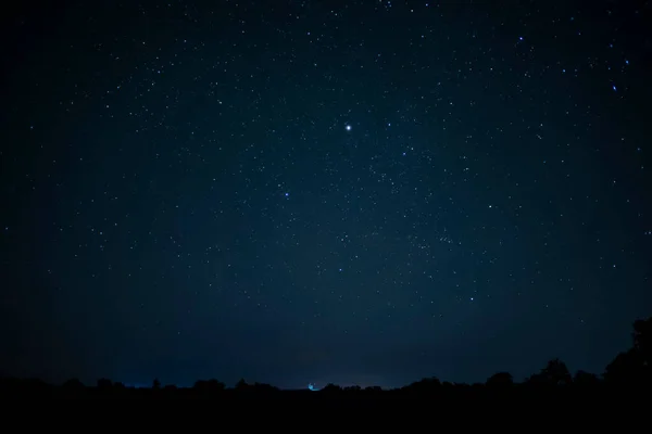 stock image Blue starry sky with leaves from trees.