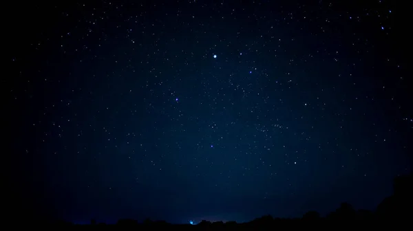 Cielo Estrellado Azul Con Hojas Árboles — Foto de Stock