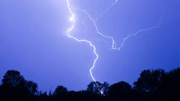 stock image Lightning above the trees in the blue sky.