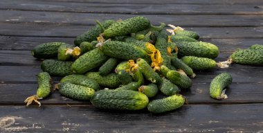 Ahşap bir masada salatalık yığını