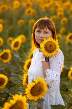 Ayçiçekleri içinde beyaz elbiseli güzel bir genç kız.