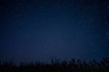 Yazın gece yıldızlı gökyüzü