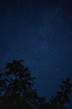 Samanyolu ile yıldızlı gökyüzü