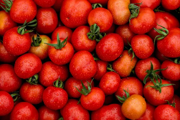 stock image tomatoes on the market Tomatoes are black