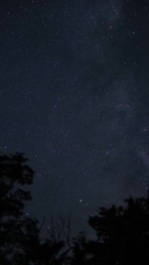 Gece gökyüzünde yıldızların ve meteorların hareketi. Dikey video