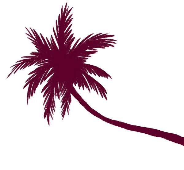 Силуэт Кокосовой Пальмы Тропический Рай Закате Солнца Рисунок Каракули — стоковое фото