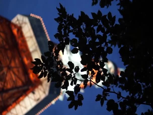Tokio Japonia Wrz 2017 Wieża Tokio Świeci Wieczorem Rozmyciem Liśćmi — Wideo stockowe