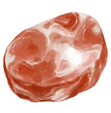 Raw Pork belly slice Korean BBQ food digital hand painting illustration