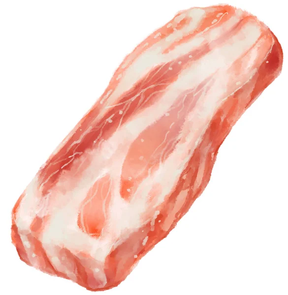 Raw Pork Belly Slice Korean Bbq Food Digital Hand Painting — Stock Fotó