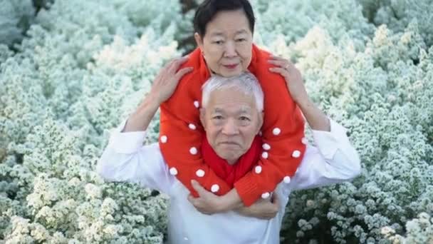 Подружжя Старших Азіатських Ельфів Любить Ласкаві Подорожі Відпочиває Святковому Святі — стокове відео