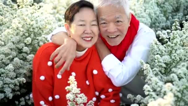 Подружжя Старших Азіатських Ельфів Любить Ласкаві Подорожі Відпочиває Святковому Святі — стокове відео