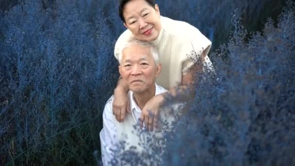 Azji Seniorzy Para Podróżować Cieszyć Się Czas Kwiat Magiczny Niebieski — Wideo stockowe
