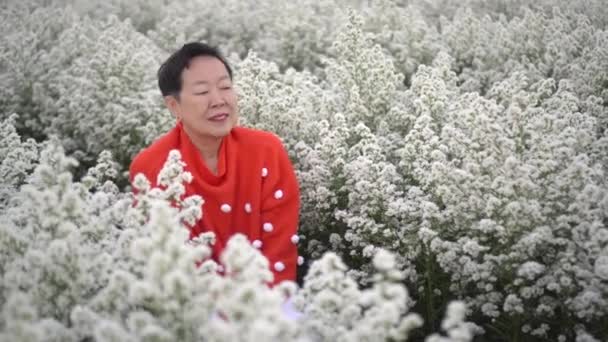 Velho Asiático Sênior Mulher Vestindo Vermelho Suéter Bolinhas Desfrutar Branco — Vídeo de Stock