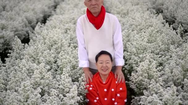 アジアのシニアカップル赤いセーターホリデーシーズン旅行の花のフィールドの愛楽しい退職生活を楽しむ — ストック動画