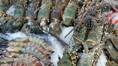 Lüks sokak yemekleri Tayland 'da buzda turist pazarında ıstakoz karides kerevit ve balık yengecinde sergileniyor.
