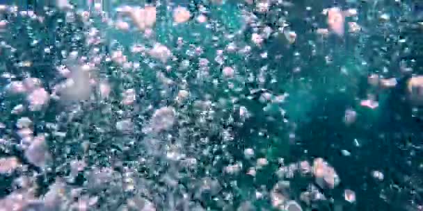 表面の泡の後のスキューバダイビングジンベエザメは外的な熱帯の水生海洋のトップビューを閉じますタイのスローモーション — ストック動画