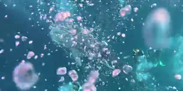 Nurkowanie Rekin Wielorybów Surface Bubbles Close Top View Exotic Tropical — Wideo stockowe