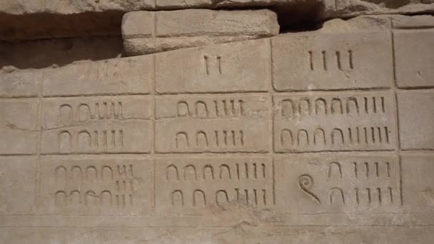 Egipto Número Heiroglyphic Sistema Conteo Karnak Templo Luxor Lengua Antigua — Vídeos de Stock