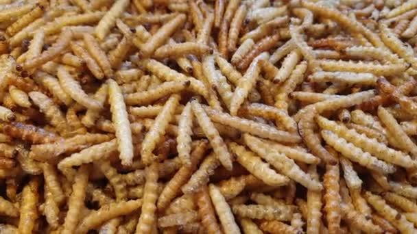 미래의 먹이튀긴 대나무 벌레의 질감을 가까이 고지방 아시아 지역의 극단적 — 비디오