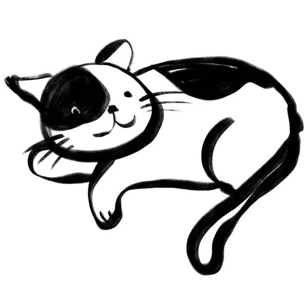 Kot Kaligrafia Czarny Atrament Pędzel Suw Spać Szczęśliwy Zwierzak Zwierzę — Zdjęcie stockowe