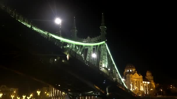 布达佩斯自由大桥下的游轮匈牙利美丽的历史性地标河流夜景 — 图库视频影像