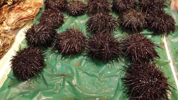 Świeże Uni Urchin Sprzedaży Japońskim Rynku Ryb Owoce Morza Sashimi — Wideo stockowe