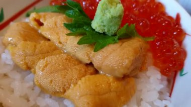 Uni ve Ikura deniz kestanesi ve somon yumurtası Japon pilavı hokkaido taze deniz ürünleri Japon yemeği yakın