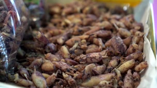 Lulas Beka Secas Pequeno Choco Local Tailândia Frutos Mar Salgados — Vídeo de Stock