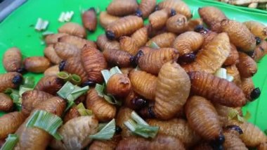 Larva palmiyesi kurdu buğday biti yağda kızartılmış böcek yiyeceği Güneydoğu Asya pazarında egzotik yiyecekler satıyor