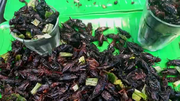Smažené Černé Cvrčci Hmyz Exotické Potraviny Jihovýchodní Asie Vysoké Protien — Stock video