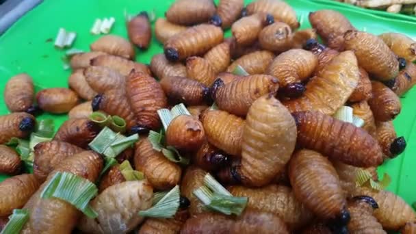 Larva Palm Worm Weevil Deep Fried Fat Insect Snack Sell — Stock Video