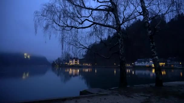 슬로바니아 목적지 안개낀 겨울이른 — 비디오