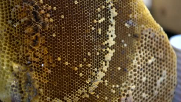 Verse Bijenkorf Honing Kam Natuurlijk Zoet Voedsel Ingrediënt Luxe Restaurant — Stockvideo
